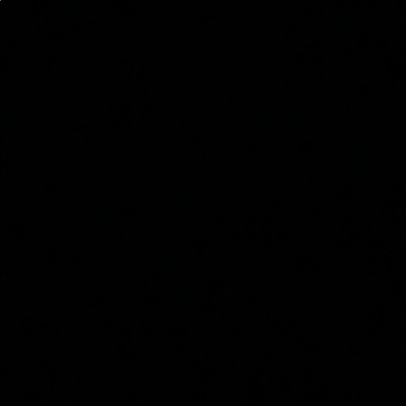 Meet your Posher, Jackson - Picture 1 of 1